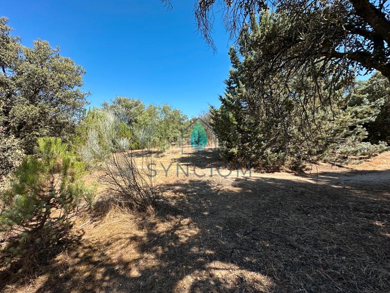 Foto e247a5fd-c7fe-461b-9892-aac0820b402b. Fondo rustico in calle castillo de turégano 1 in Cerro Alarcón Valdemorillo