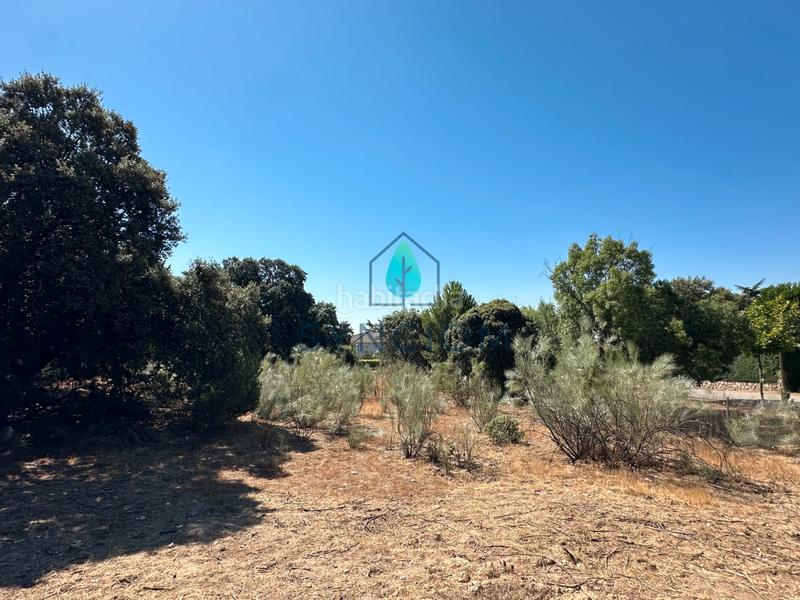 Foto e3f5836e-da2d-444a-adec-f2a2c909ec9f. Fondo rustico in calle castillo de turégano 1 in Cerro Alarcón Valdemorillo