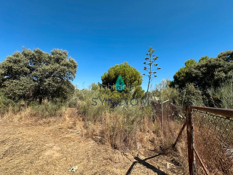 Foto f11454f8-a395-4761-9e9a-a48c43430f91. Fondo rustico in calle castillo de turégano 1 in Cerro Alarcón Valdemorillo