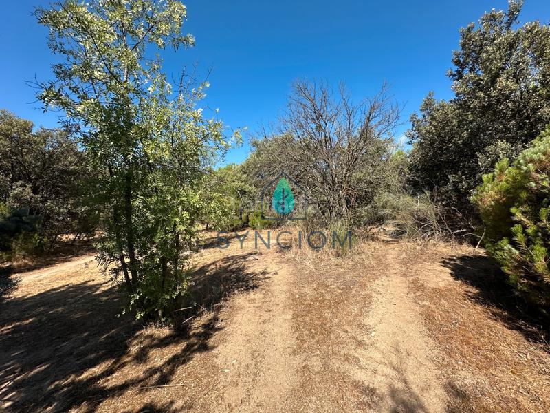 Foto fa34afa6-8234-47af-aaf4-40e39be573b1. Fondo rustico in calle castillo de turégano 1 in Cerro Alarcón Valdemorillo