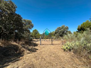 Fondo rustico en Calle castillo de turgano 1. Oportunidad de inversin en valdemorillo  finca rstica con pro