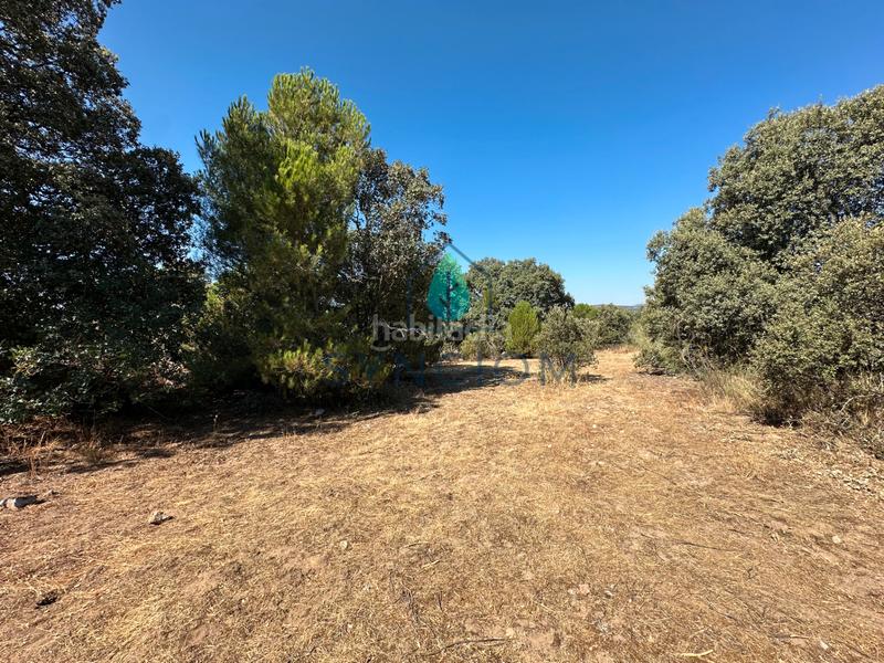 Foto 052826fb-85f6-43f6-8300-8715c1224a67. Finca rústica a m-959 1 a Cerro Alarcón Valdemorillo