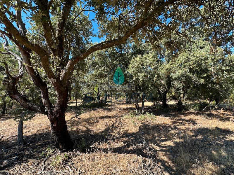 Foto 128eaa96-f0d9-4517-af97-ed795b7156d2. Finca rústica a m-959 1 a Cerro Alarcón Valdemorillo