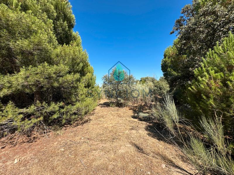 Foto 161ad243-769e-47cb-81f3-f301fca05f14. Finca rústica a m-959 1 a Cerro Alarcón Valdemorillo