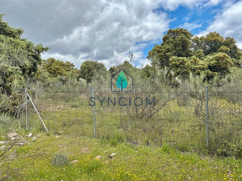 Foto 2974e3c2-82e8-4d56-b020-62a7101daa4d. Finca rústica a m-959 1 a Cerro Alarcón Valdemorillo