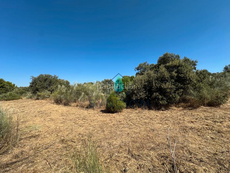 Foto 2beffe39-a9d9-4d76-b0a1-5a8ead5bcab2. Finca rústica a m-959 1 a Cerro Alarcón Valdemorillo