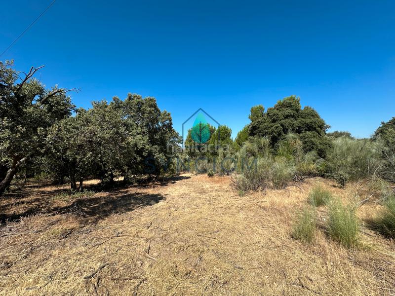 Foto 2f29c932-bfcf-4232-8ca1-668ae2ff98b5. Finca rústica a m-959 1 a Cerro Alarcón Valdemorillo