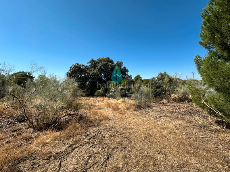 Foto 30172dd6-2ba0-4b25-a958-b618fe1bdc74. Finca rústica a m-959 1 a Cerro Alarcón Valdemorillo