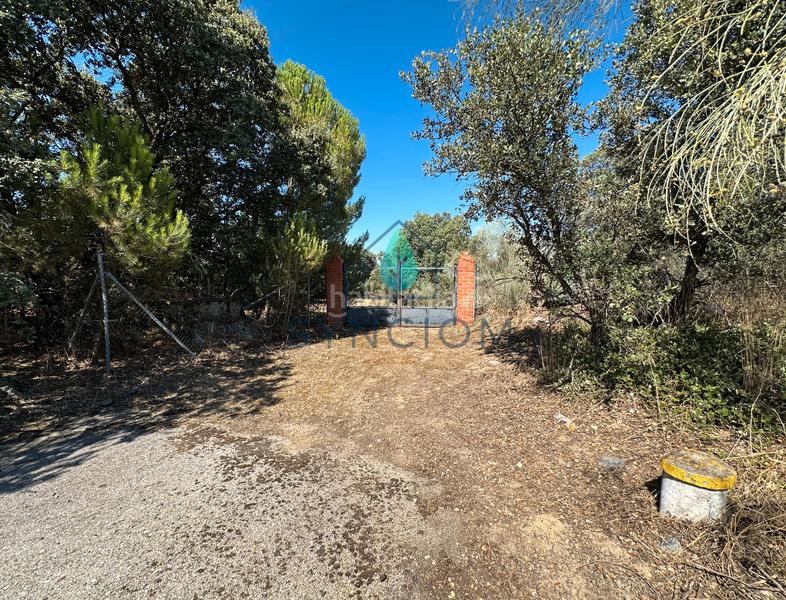 Foto 34fb225b-badd-461f-b63d-a785c8bcd5ee. Finca rústica a m-959 1 a Cerro Alarcón Valdemorillo