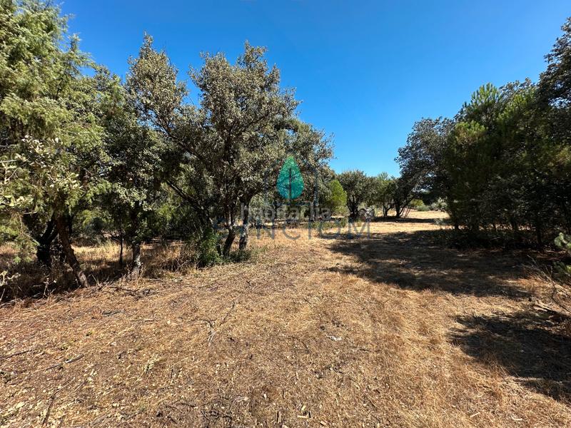 Foto 4d7de901-723d-4ed5-b958-a310b4e907bd. Finca rústica a m-959 1 a Cerro Alarcón Valdemorillo