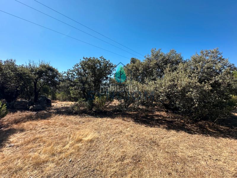 Foto 4e41e3bd-c898-45fb-ba23-e924bfc38f51. Finca rústica a m-959 1 a Cerro Alarcón Valdemorillo