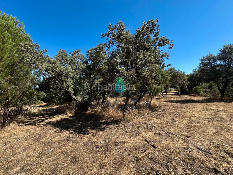 Foto 50a1a9d0-954b-48a5-bb3f-45c9a3b3822f. Finca rústica a m-959 1 a Cerro Alarcón Valdemorillo