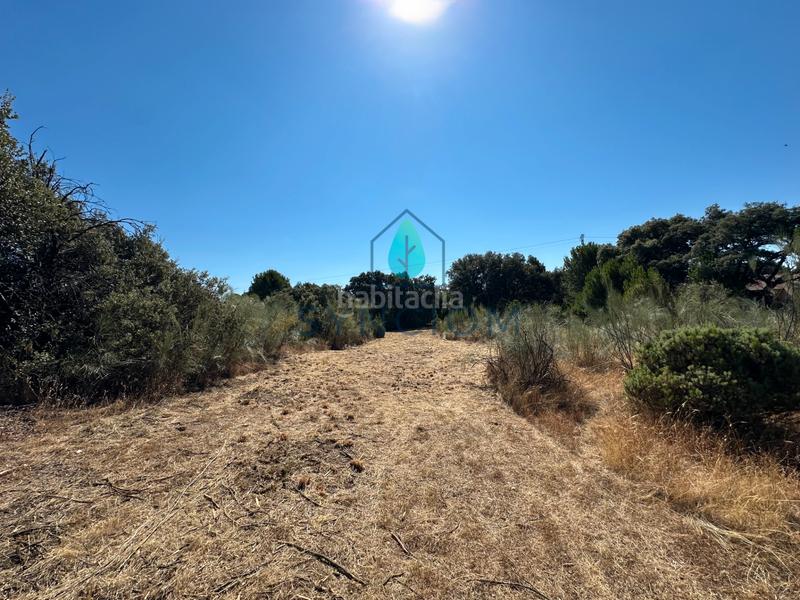 Foto 530cb61d-be7b-40f9-805f-eadd01139514. Finca rústica a m-959 1 a Cerro Alarcón Valdemorillo