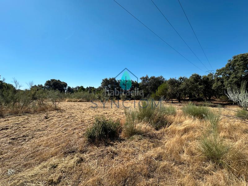 Foto 53b7b973-c84e-4f14-b484-83aea09efd83. Finca rústica a m-959 1 a Cerro Alarcón Valdemorillo