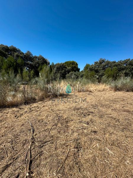 Foto 5486284e-9fb2-4010-b81a-20c5909412d8. Finca rústica a m-959 1 a Cerro Alarcón Valdemorillo