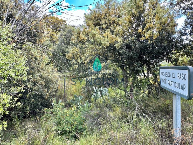 Foto 59489378-af15-40c1-8ef4-4a681856b526. Finca rústica a m-959 1 a Cerro Alarcón Valdemorillo