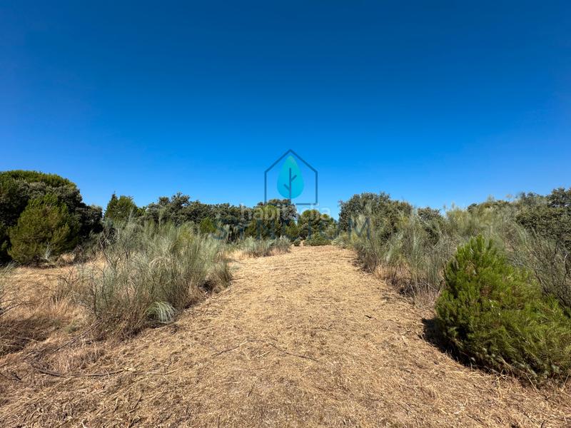 Foto 5d81026e-554e-4b95-a9b9-6f27ddbe5035. Finca rústica a m-959 1 a Cerro Alarcón Valdemorillo