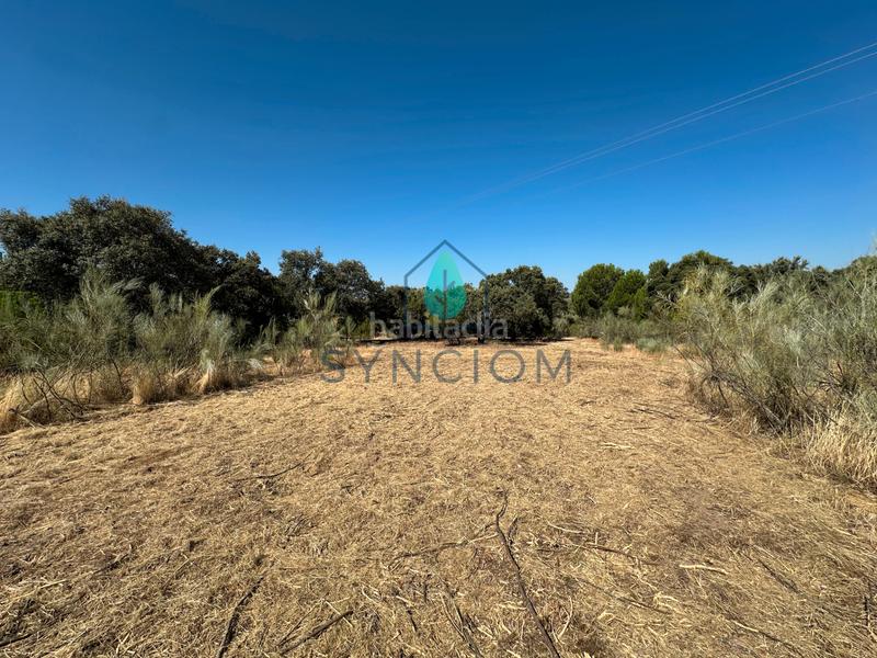 Foto 63112710-298a-4e86-9999-7becfac09530. Finca rústica a m-959 1 a Cerro Alarcón Valdemorillo