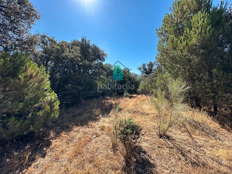 Foto 6f75ea0b-475e-4d23-a919-e67079b3ce89. Finca rústica a m-959 1 a Cerro Alarcón Valdemorillo