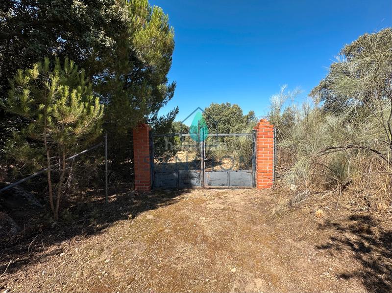 Foto 775094b0-d186-49ff-96a5-8fe9e8df371e. Finca rústica a m-959 1 a Cerro Alarcón Valdemorillo