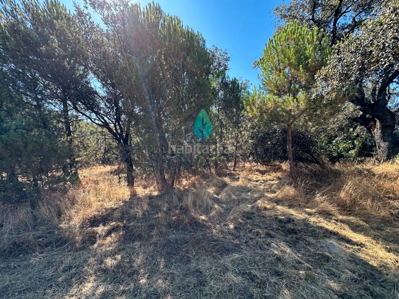 Foto 7d4bf6a4-6166-4491-8130-261129bbdfe2. Finca rústica a m-959 1 a Cerro Alarcón Valdemorillo