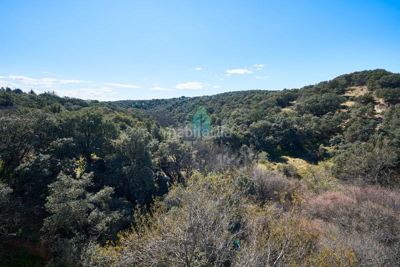 Foto 83223c04-3b89-41c9-9acb-03032aad8b5e. Finca rústica a m-959 1 a Cerro Alarcón Valdemorillo