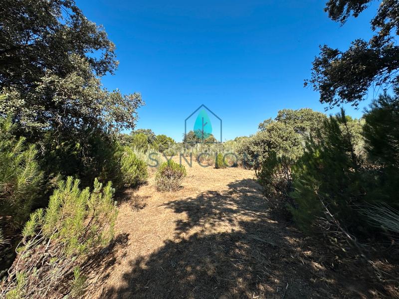 Foto 8498afc0-0aeb-4a75-a756-bb17232200a7. Finca rústica a m-959 1 a Cerro Alarcón Valdemorillo