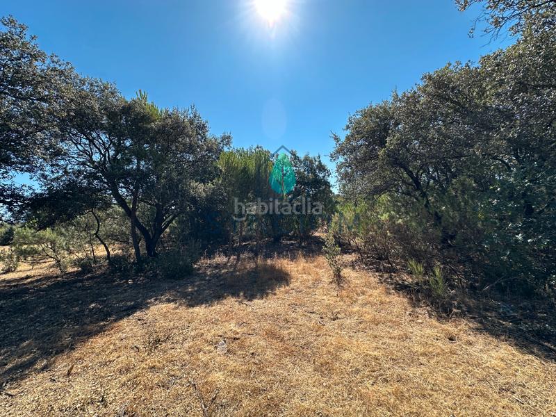 Foto 8ac5e7f5-a8e1-419f-a9db-ca564d992ea9. Finca rústica a m-959 1 a Cerro Alarcón Valdemorillo