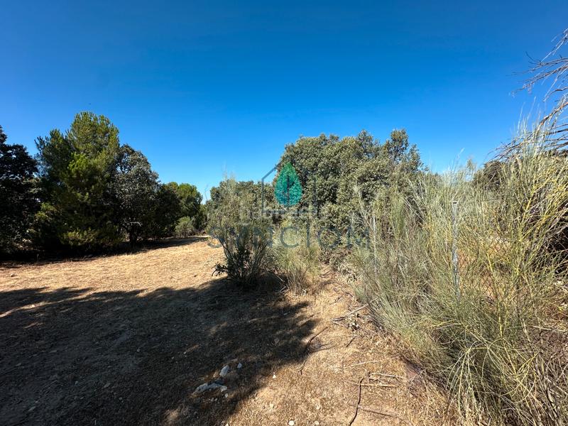 Foto 970ebc14-a2b3-41d8-8777-aaa7bf639fd3. Finca rústica a m-959 1 a Cerro Alarcón Valdemorillo