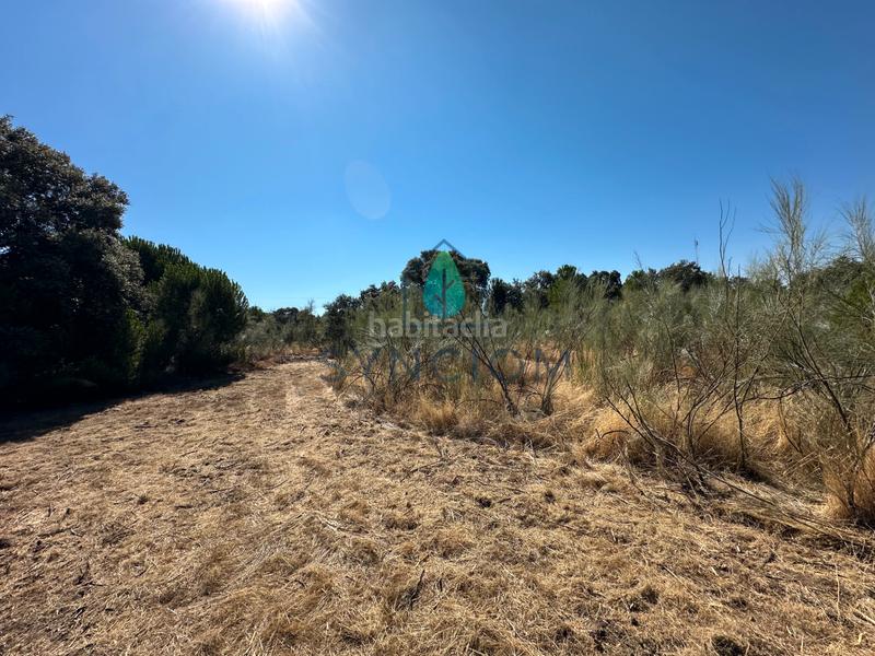 Foto 9ee03dc5-5512-4ef0-a582-f904933051c6. Finca rústica a m-959 1 a Cerro Alarcón Valdemorillo