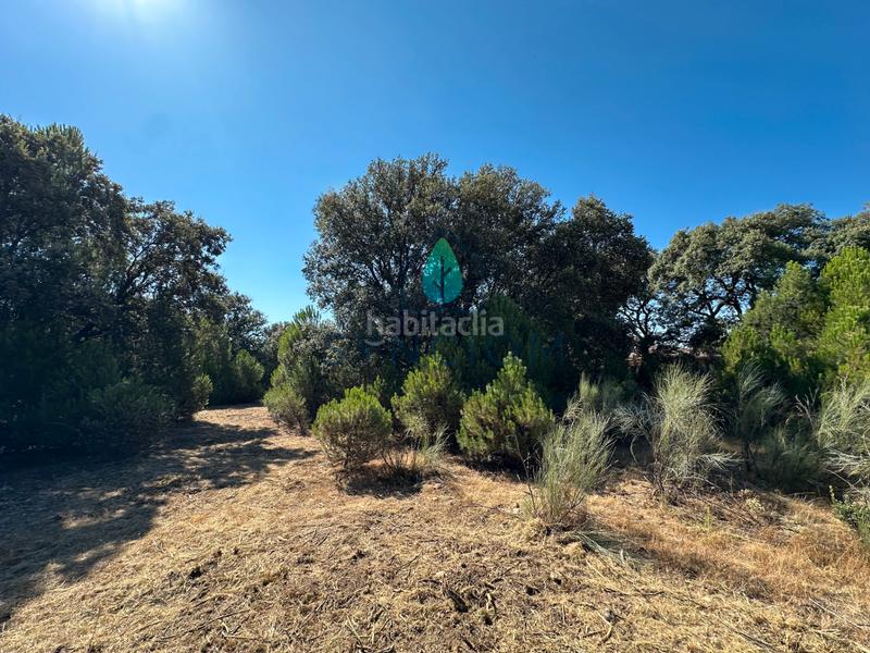 Foto a2edb50b-20c9-40cf-bd05-43ae5d7bc171. Finca rústica a m-959 1 a Cerro Alarcón Valdemorillo