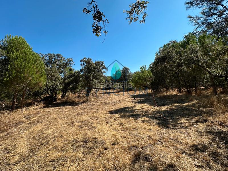 Foto a59b0627-4e03-4b97-b2cb-9ddb95779a7e. Finca rústica a m-959 1 a Cerro Alarcón Valdemorillo