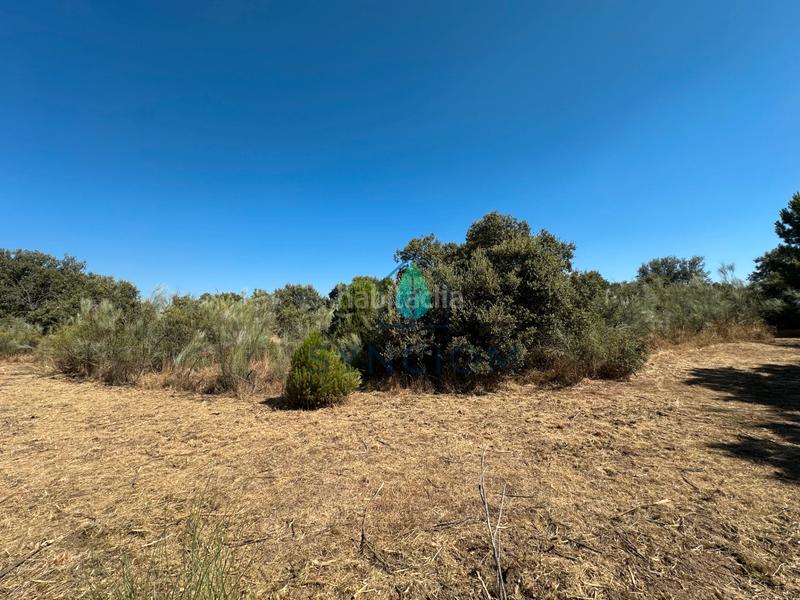 Foto a926ad7e-4962-4e5b-bd40-e626d9c93959. Finca rústica a m-959 1 a Cerro Alarcón Valdemorillo