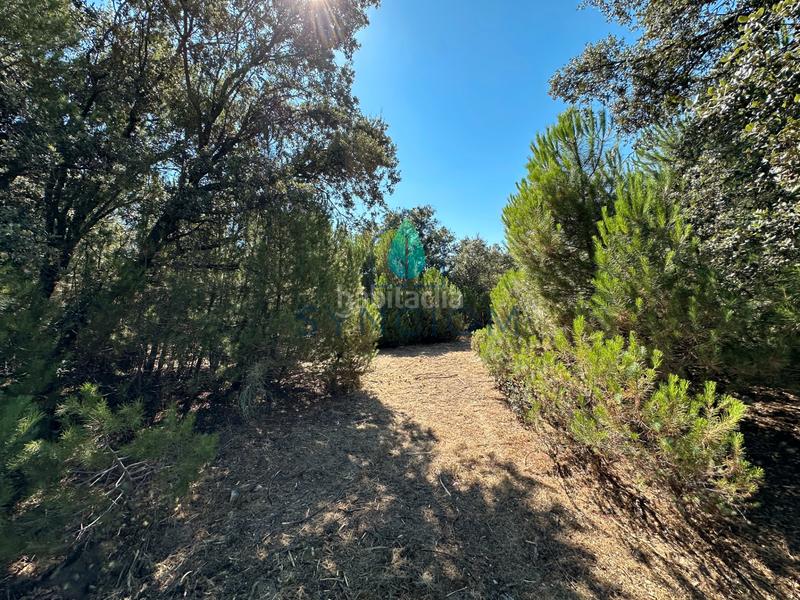 Foto af095d80-7007-4657-9274-365fa5bcdf7e. Finca rústica a m-959 1 a Cerro Alarcón Valdemorillo