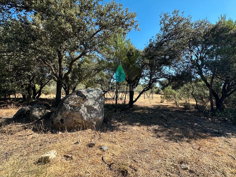 Foto b0c18ce4-1af2-470a-b5b2-5f993499b1fa. Finca rústica a m-959 1 a Cerro Alarcón Valdemorillo