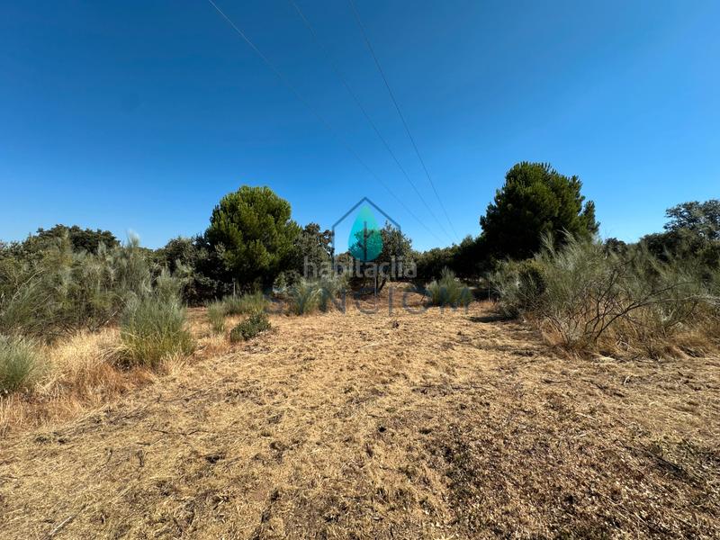 Foto cd32cda8-ead9-4013-86b6-dad8635bdfde. Finca rústica a m-959 1 a Cerro Alarcón Valdemorillo