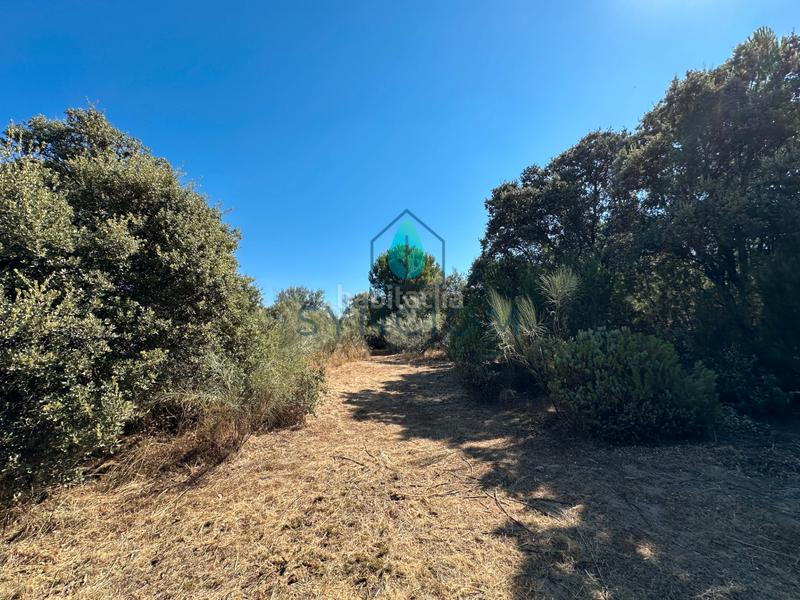 Foto ce152f3b-a50c-43d7-8a5b-c35b525512d3. Finca rústica a m-959 1 a Cerro Alarcón Valdemorillo