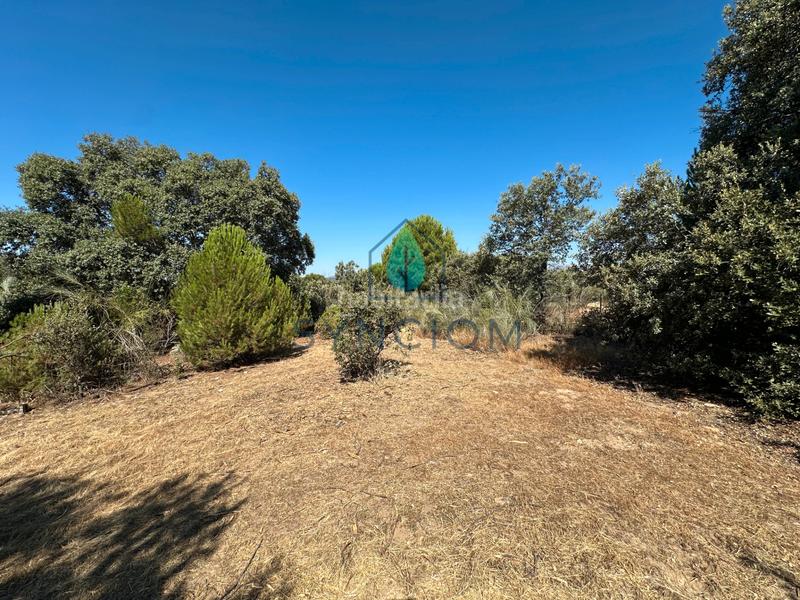 Foto d2517be4-1c0d-48f8-8943-bdd7c9d4ac88. Finca rústica a m-959 1 a Cerro Alarcón Valdemorillo