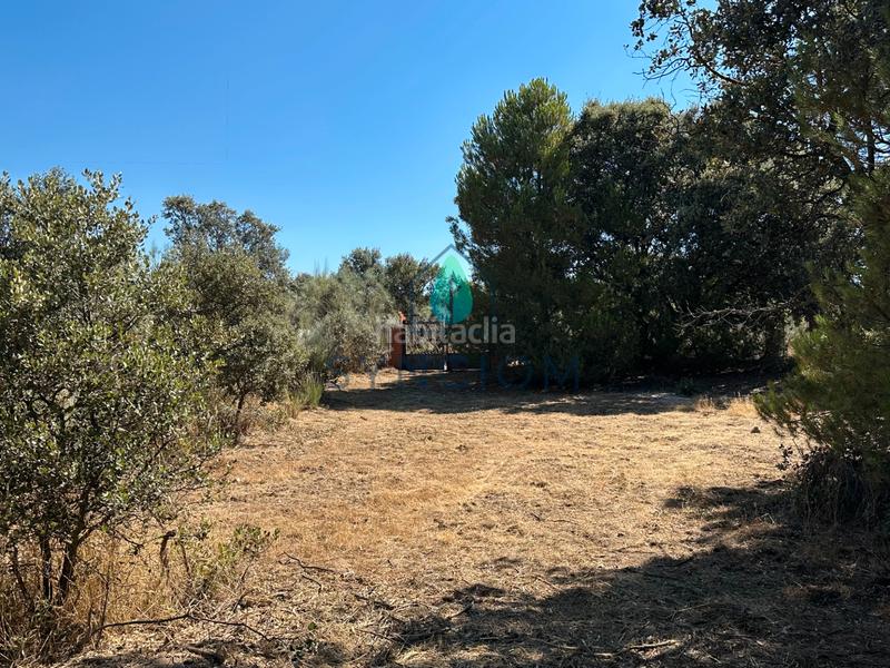 Foto d408b202-0e12-49c6-be83-99354e6a27df. Finca rústica a m-959 1 a Cerro Alarcón Valdemorillo