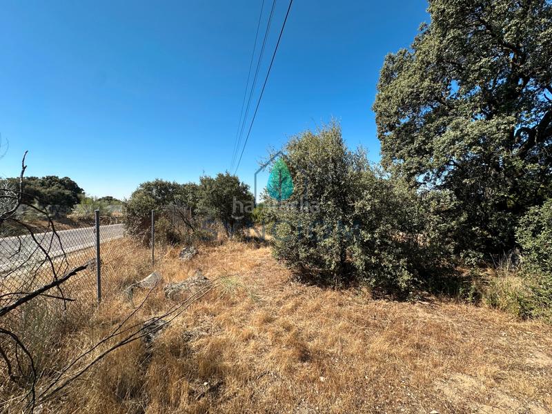 Foto dc0807dd-95ad-448a-8ab2-cd2ed7d5289f. Finca rústica a m-959 1 a Cerro Alarcón Valdemorillo