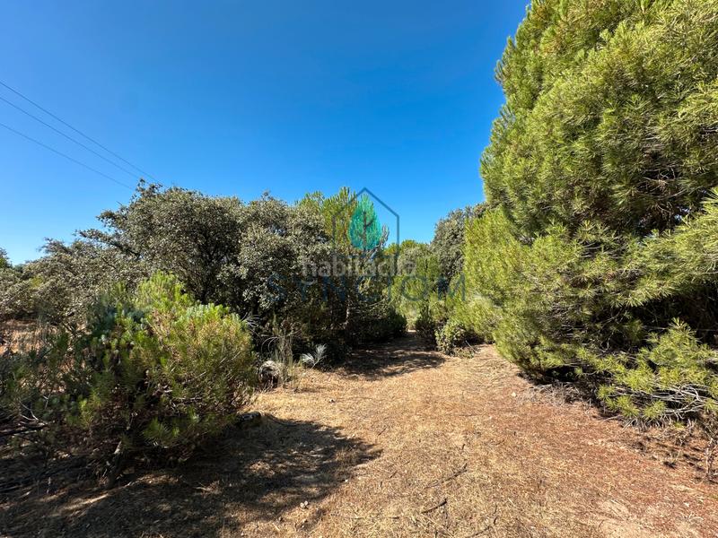 Foto e70031fb-25a4-4d8b-9702-2e263ca49494. Finca rústica a m-959 1 a Cerro Alarcón Valdemorillo