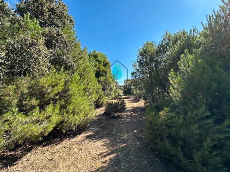 Foto ecf3eb6c-6212-45b5-af8c-d50a663125ff. Finca rústica a m-959 1 a Cerro Alarcón Valdemorillo