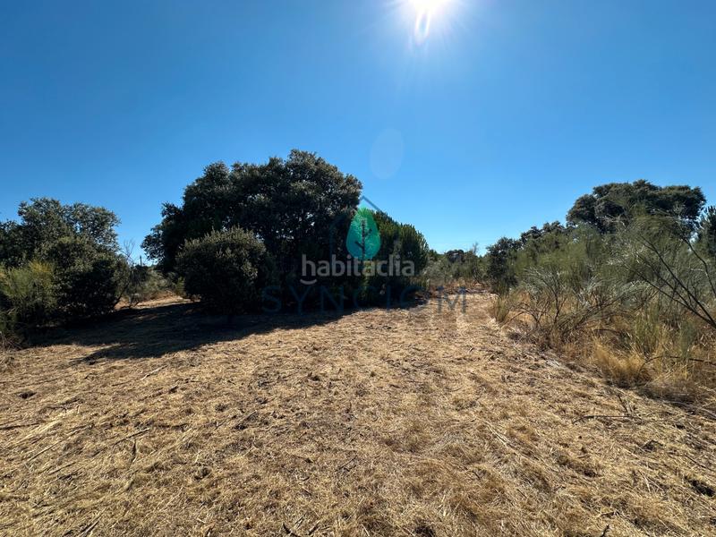 Foto f167db62-d856-4e10-b519-0acacda0c17a. Finca rústica a m-959 1 a Cerro Alarcón Valdemorillo