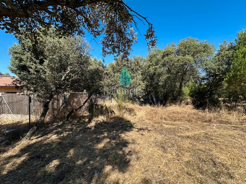 Foto f4f53bcf-b333-4123-b3f8-6bb0ed0dddd7. Finca rústica a m-959 1 a Cerro Alarcón Valdemorillo