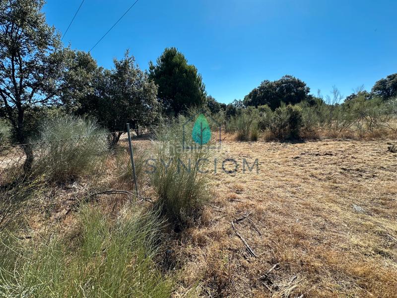 Foto f5b20067-b3cb-4f37-9f4d-54c6ba7c5842. Finca rústica a m-959 1 a Cerro Alarcón Valdemorillo