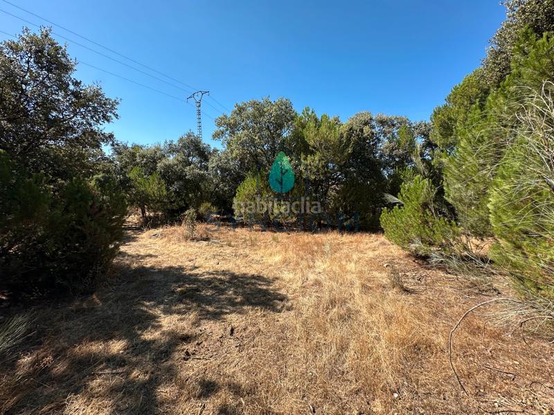 Foto f647bf1a-5d80-44cb-8ce5-7fced43e087e. Finca rústica a m-959 1 a Cerro Alarcón Valdemorillo