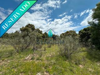 Finca rstica en Avenida de los castillos 1. Oportunidad de inversin en valdemorillo  finca rstica con pro