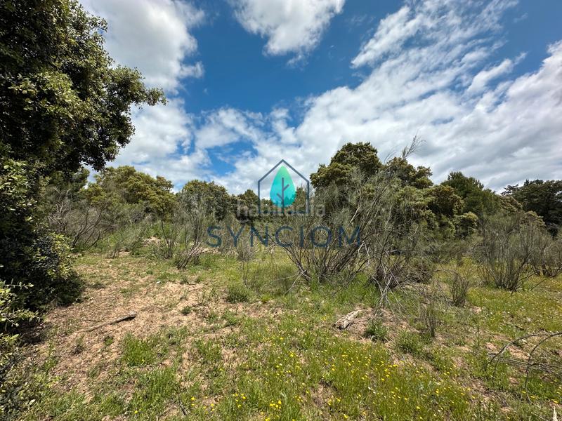 Foto 16115634-4e49-477d-a235-93982237ba35. Landgut in calle castillo de almansa 1 in Cerro Alarcón Valdemorillo