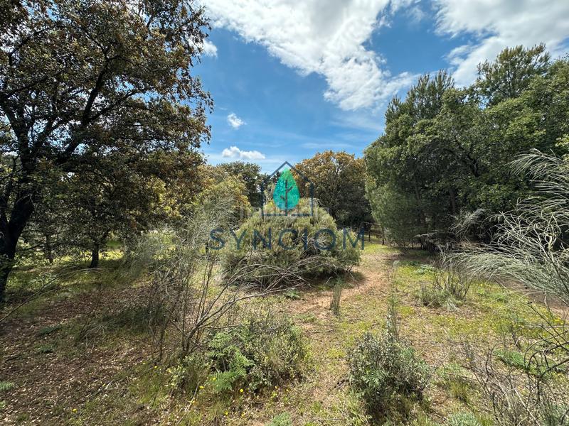 Foto 29426d36-47bc-48e3-bb59-4307d7a6a3cb. Landgut in calle castillo de almansa 1 in Cerro Alarcón Valdemorillo