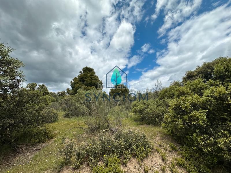 Foto 5609bfd1-463e-4c61-b9f6-dd4666880547. Landgut in calle castillo de almansa 1 in Cerro Alarcón Valdemorillo